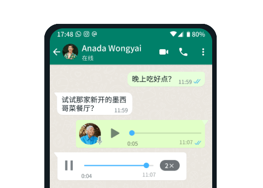 播放速度